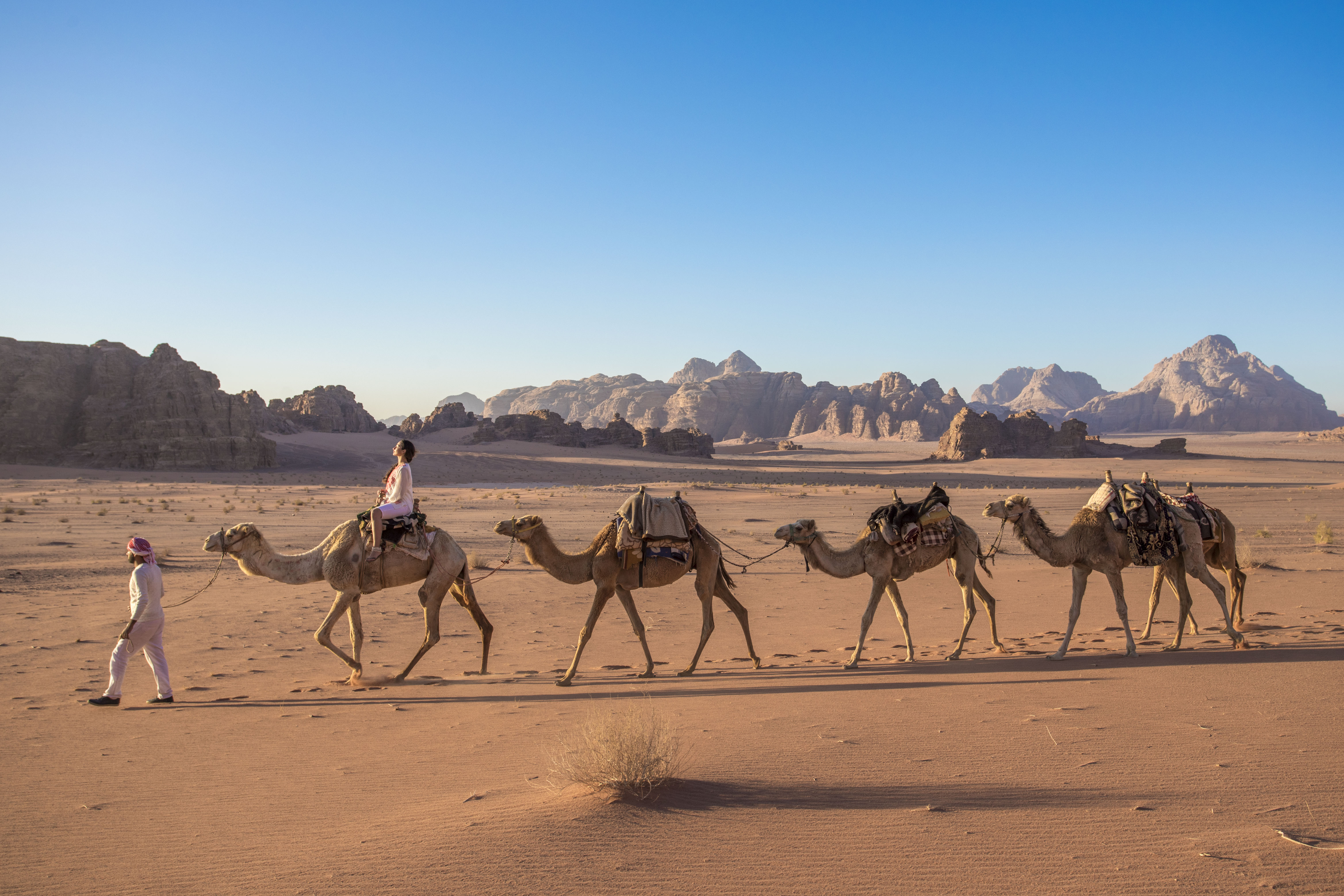 Camel riding in Wadi Rum